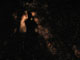 ' Shadow ' series