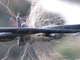 ' Loose Connections ' Series