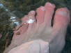 Bodies of Water