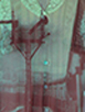 Corpus